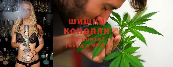 крисы Медногорск