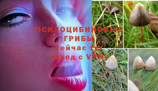 альфа пвп Михайловск