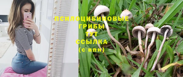 спиды Михайловка