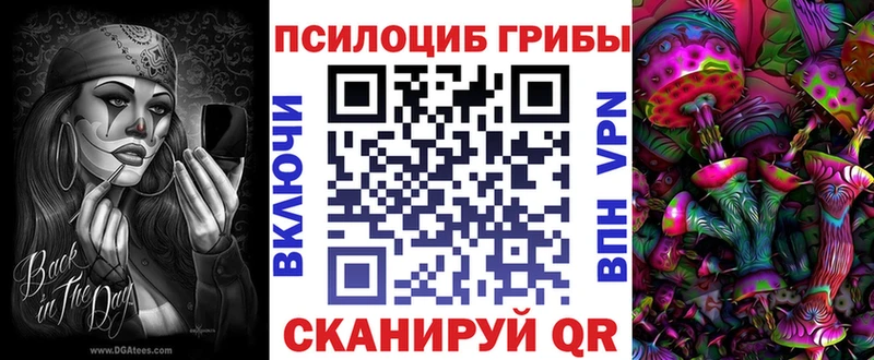 Псилоцибиновые грибы Psilocybine cubensis  Шилка 